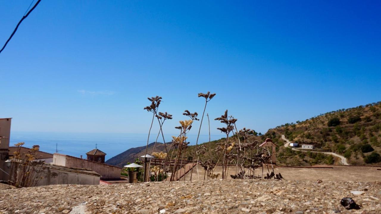 Casa Amigos Sorvilan - La Almendra Exteriör bild