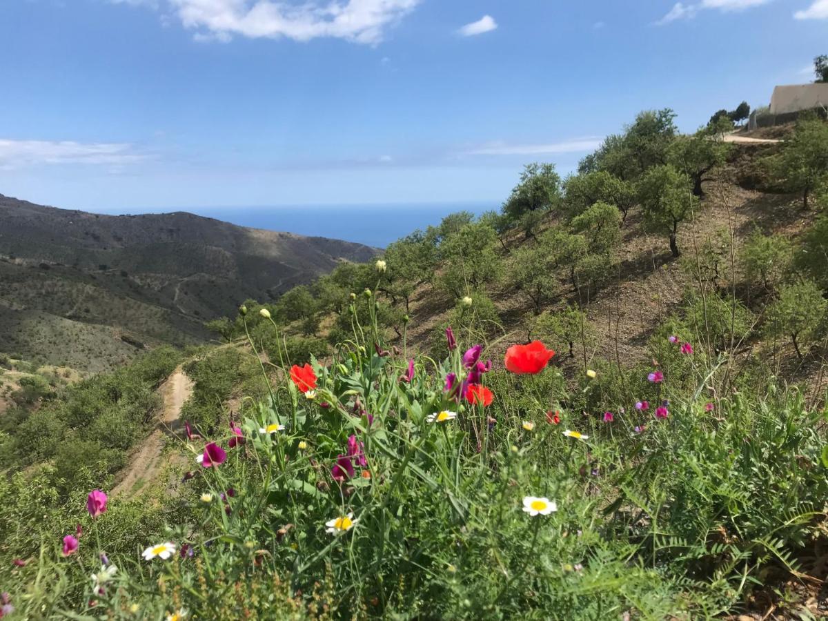 Casa Amigos Sorvilan - La Almendra Exteriör bild