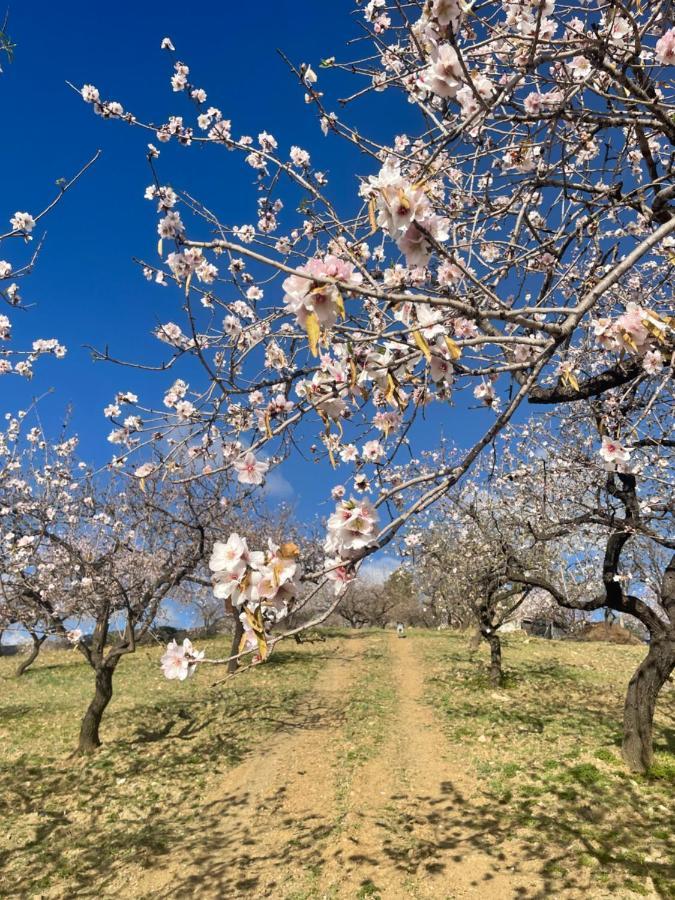 Casa Amigos Sorvilan - La Almendra Exteriör bild