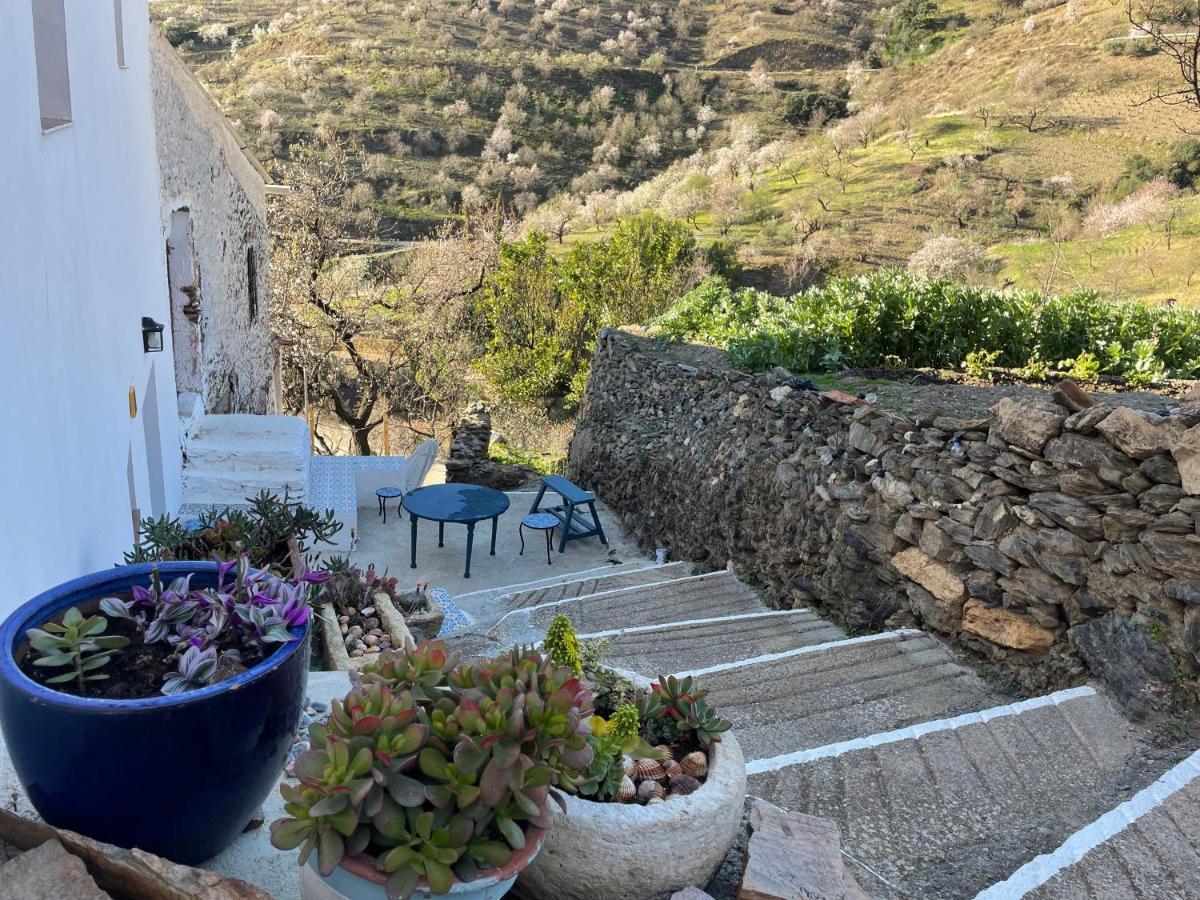 Casa Amigos Sorvilan - La Almendra Exteriör bild