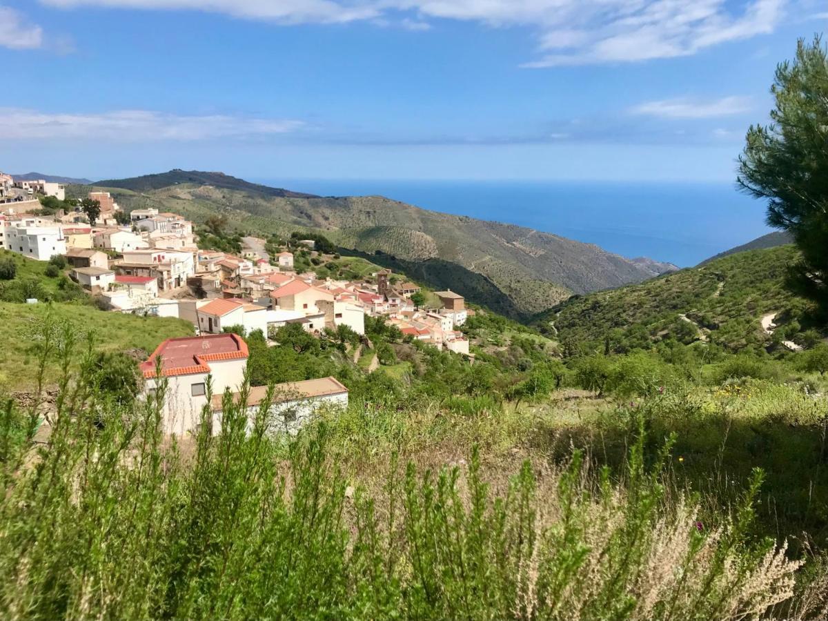 Casa Amigos Sorvilan - La Almendra Exteriör bild